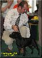 Csaba and Zoe /World Dog Show/